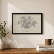 Isaiah 61:3 Oaks Of Righteousness Christian Wall Art, Rustic Scripture Poster - Format: Black Framed Poster