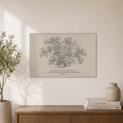 Isaiah 61:3 Oaks Of Righteousness Christian Wall Art, Rustic Scripture Poster - Format: Unframed Paper Poster