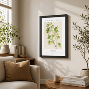 John 15:5 I Am The Vine Christian Wall Art, Inspirational Scripture Poster - Format: Black Framed Poster
