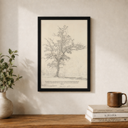 Psalm 1:3 Tree Christian Wall Art, Vintage Landscape Scripture Poster - Format: Black Framed Poster