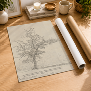 Psalm 1:3 Tree Christian Wall Art, Vintage Landscape Scripture Poster - Format: Rolled Canvas