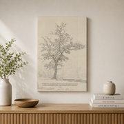 Psalm 1:3 Tree Christian Wall Art, Vintage Landscape Scripture Poster - Format: Stretched Canvas