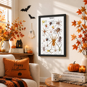 Spider Educational Poster Halloween Classroom Decor Spider Identification Wall Art Print - Format: Black Framed Poster